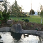 Innovative Rock and Water | Outdoor Hardscapes | Water Features | Landscape Design | Pools
